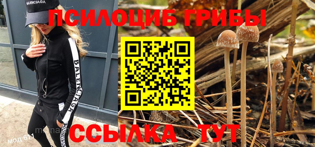 Псилоцибиновые грибы Psilocybine cubensis Мытищи