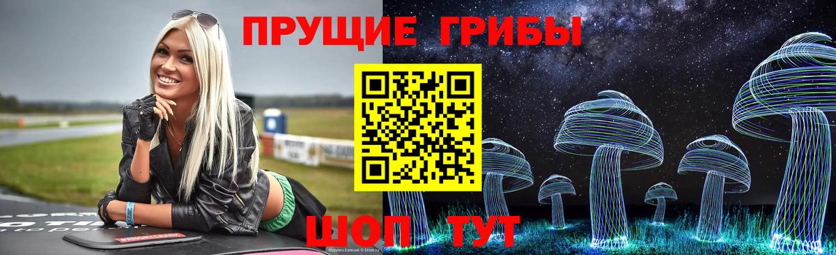 Галлюциногенные грибы MAGIC MUSHROOMS  Вход с VPN  Мытищи 